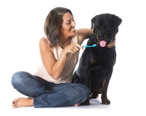 Pets For Teeth Brushing